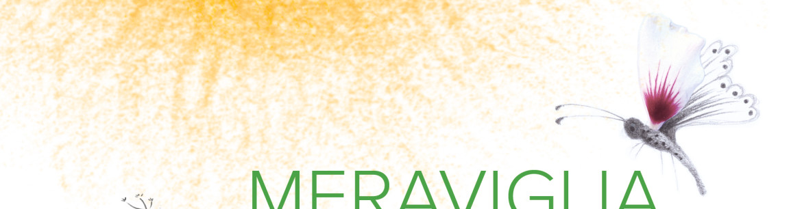 meraviglia-invito